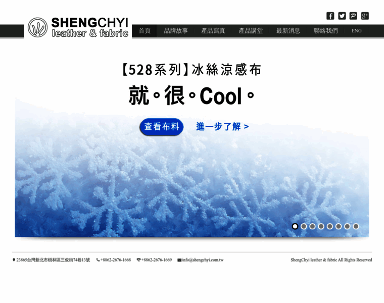 Shengchyi.com.tw thumbnail