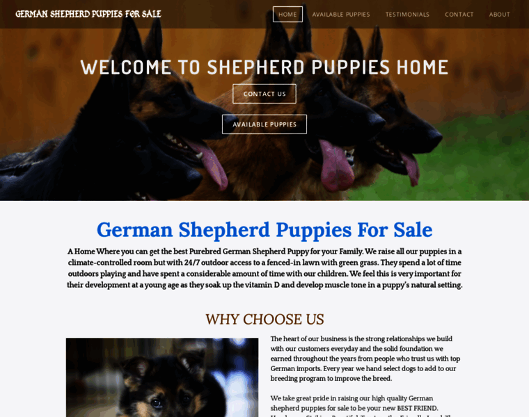 Shepherdhomepuppies.com thumbnail