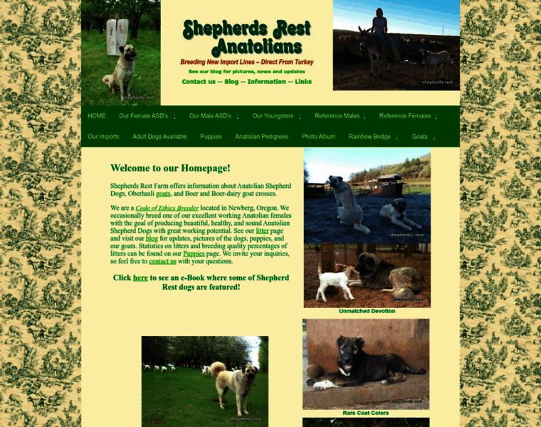 Shepherds-rest.com thumbnail