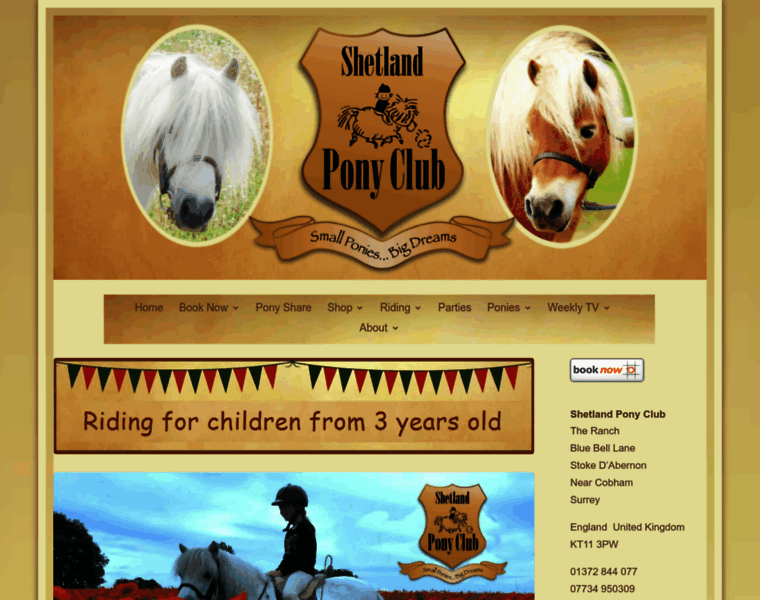 Shetlandponyclub.co.uk thumbnail