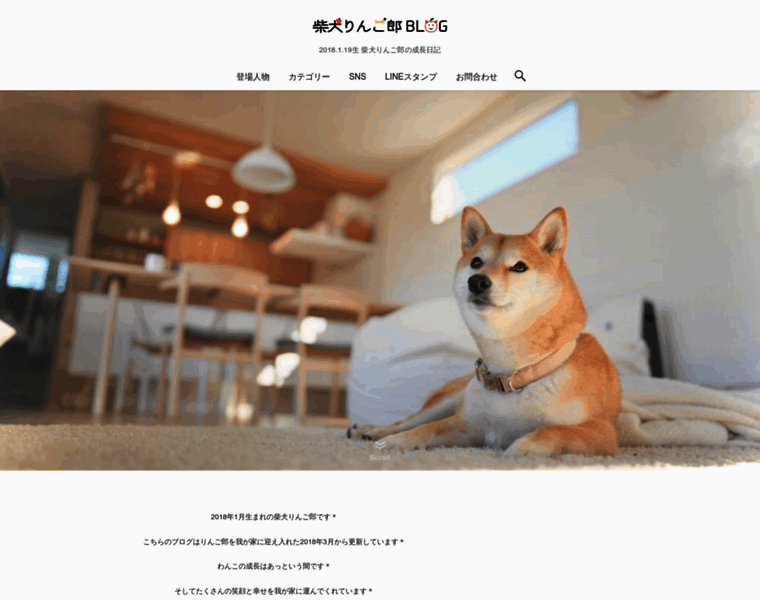 Shiba-inu-ringoro.com thumbnail