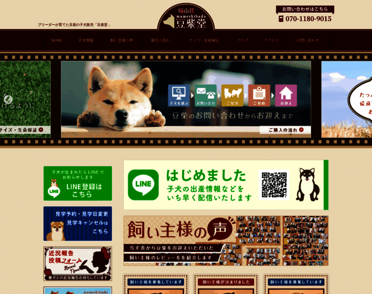 Shibainudo.com thumbnail