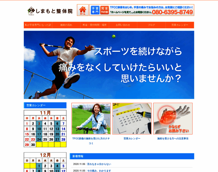 Shimamoto-seitai.com thumbnail