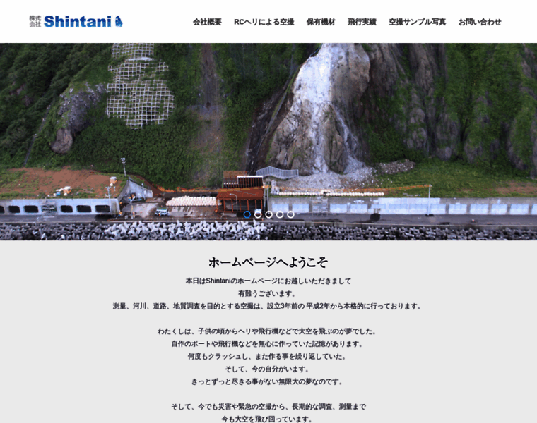 Shintani-1.co.jp thumbnail