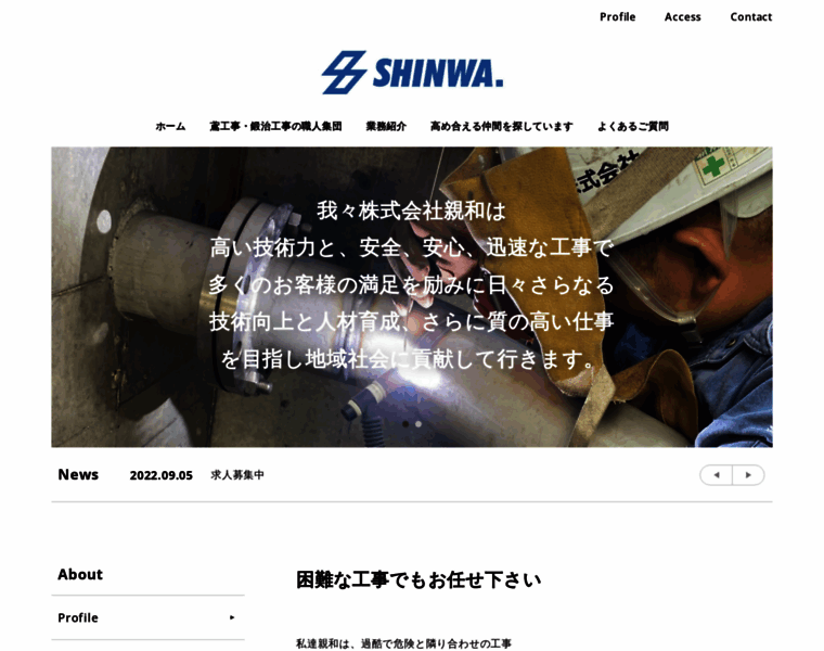 Shinwa-co-ltd.jp thumbnail