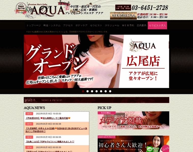 Shinyokohama-aqua.com thumbnail