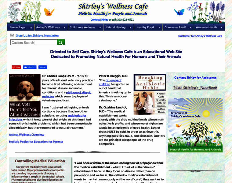 Shirleys-wellness-cafe.com thumbnail