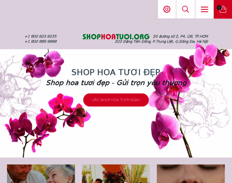 Shophoatuoi.org thumbnail