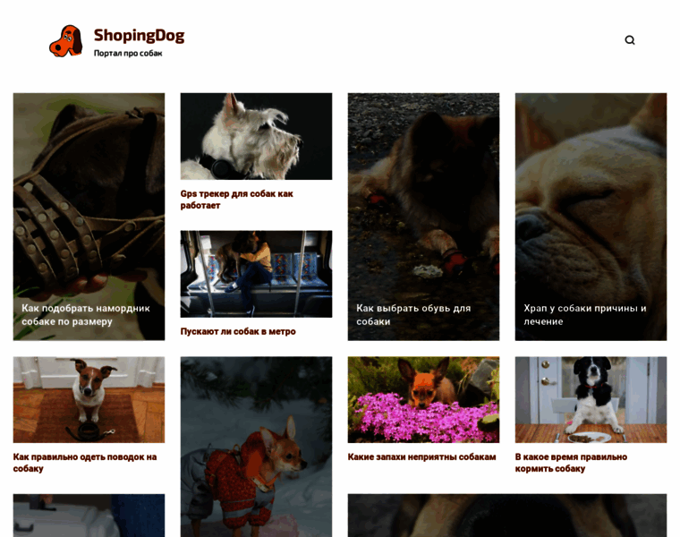 Shopingdog.ru thumbnail