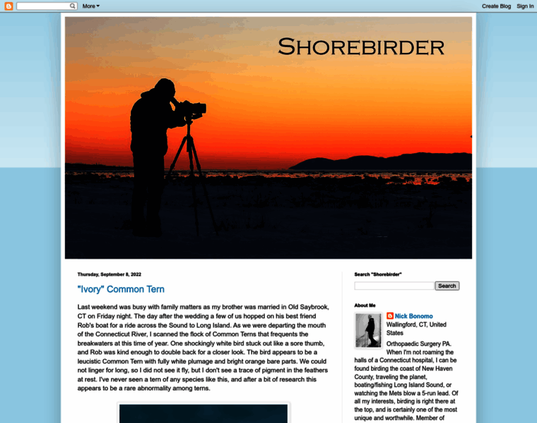 Shorebirder.com thumbnail