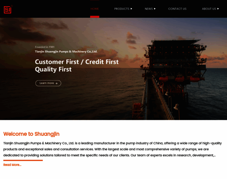 Shuangjin-pumps.com thumbnail