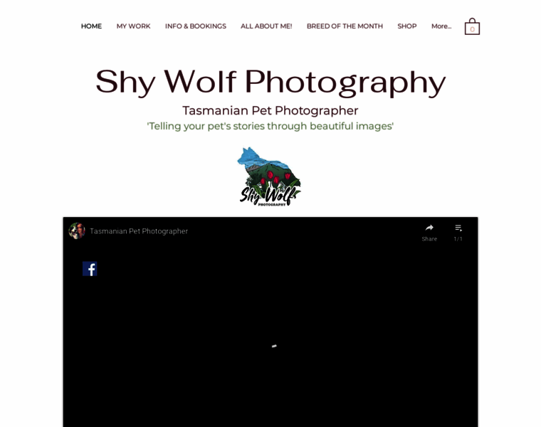 Shywolfphotography.com.au thumbnail