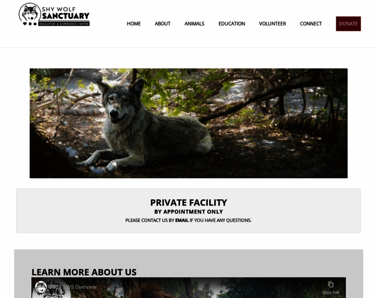 Shywolfsanctuary.com thumbnail