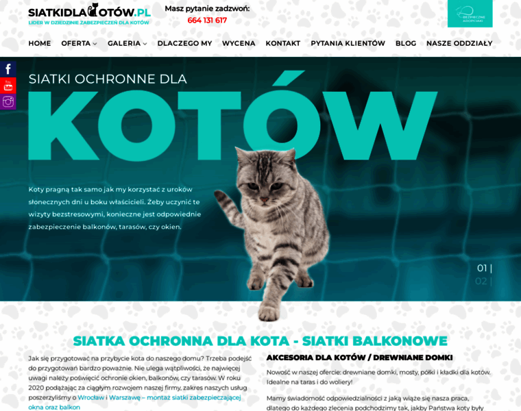 Siatkidlakotow.pl thumbnail