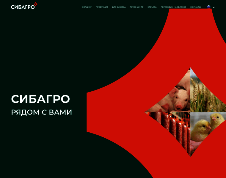 Sibagrogroup.ru thumbnail