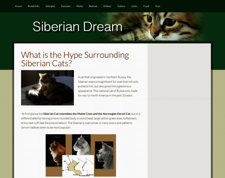 Siberian-cats.ca thumbnail