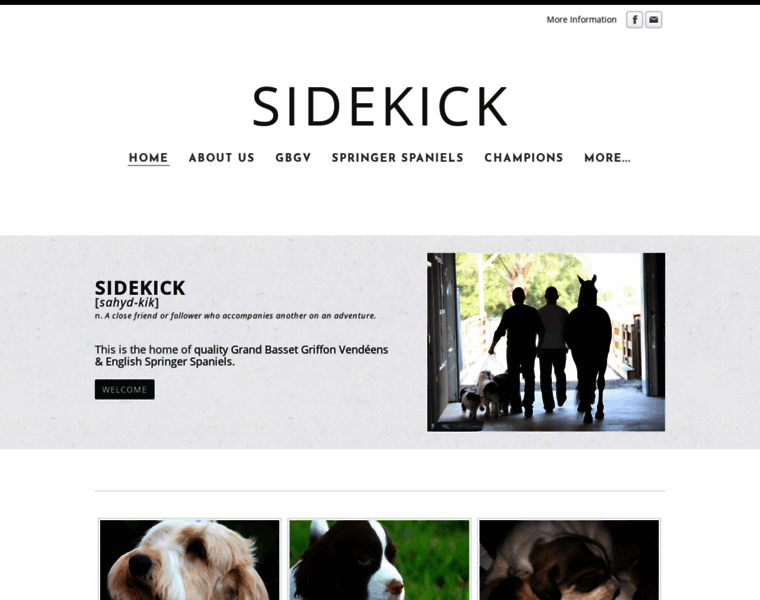 Sidekickdogs.com thumbnail