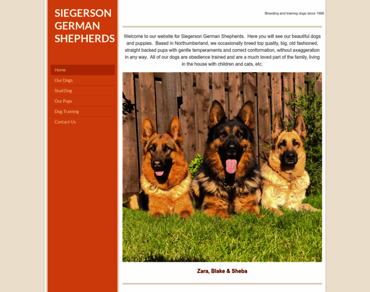 Siegerson.co.uk thumbnail