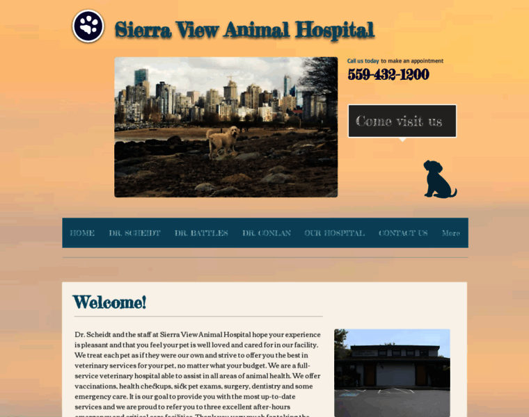Sierraviewanimalhospital.com thumbnail