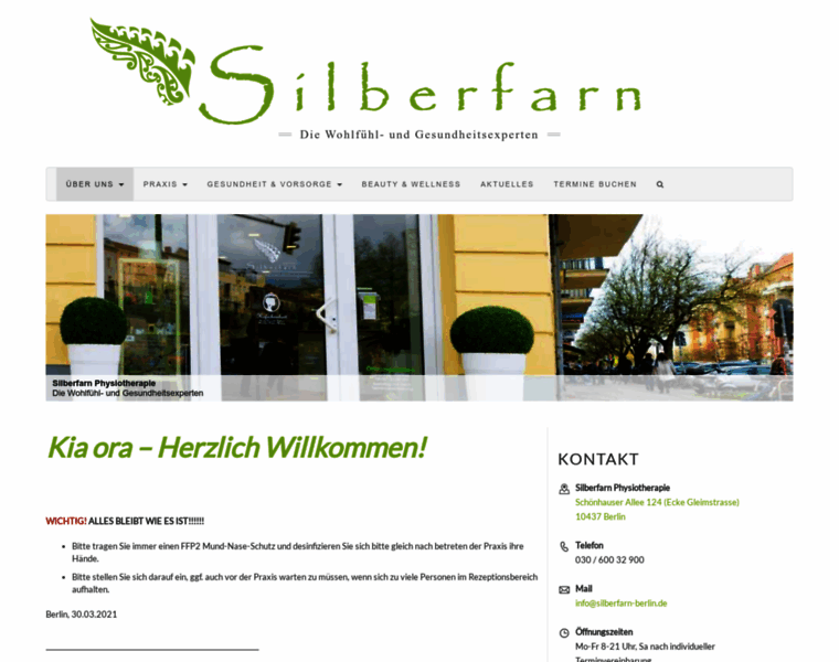 Silberfarn-berlin.de thumbnail