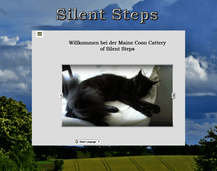 Silent-steps.de thumbnail Silent-steps.de thumbnail