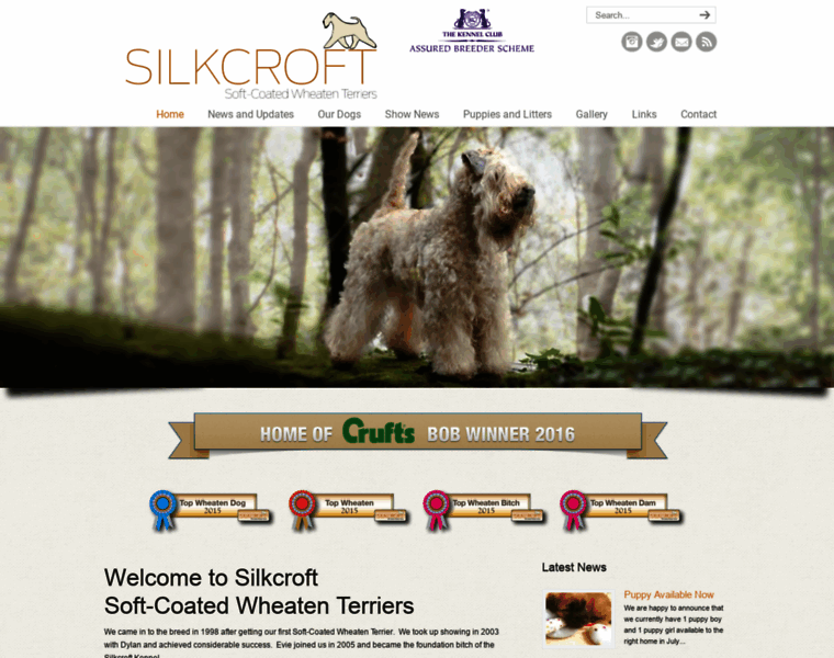 Silkcroft.co.uk thumbnail