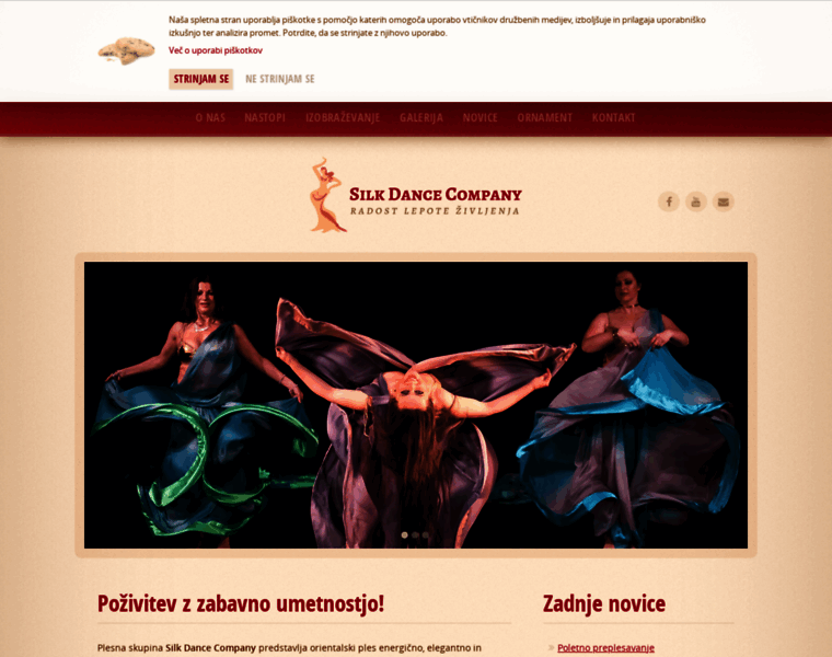 Silkdancecompany.si thumbnail