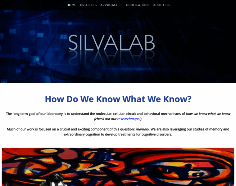 Silvalab.com thumbnail