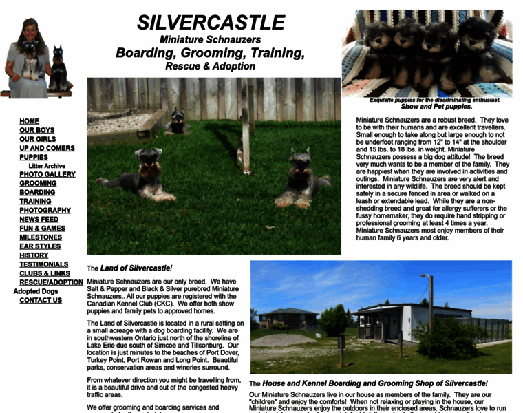 Silvercastle.ca thumbnail