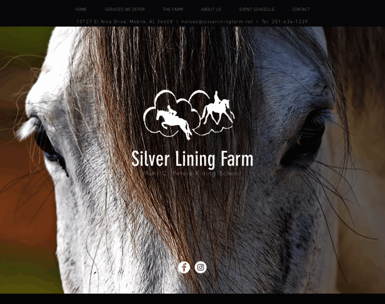 Silverliningfarm.net thumbnail