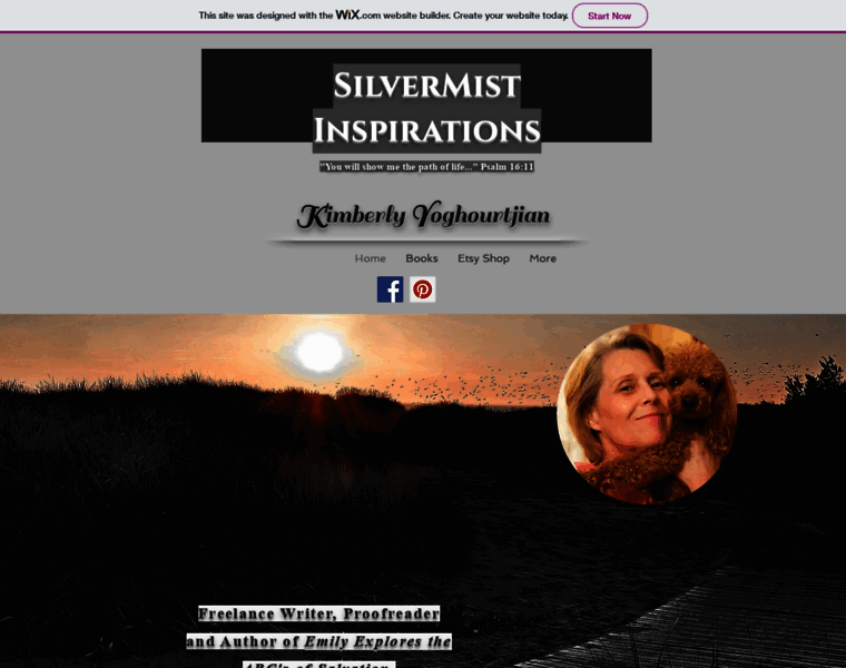 Silvermistinspirations.com thumbnail