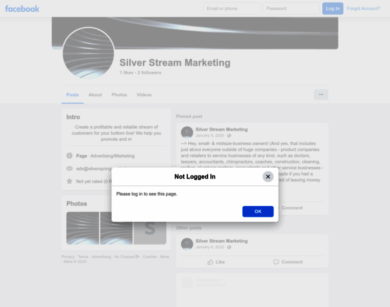 Silverstreammarketing.com thumbnail