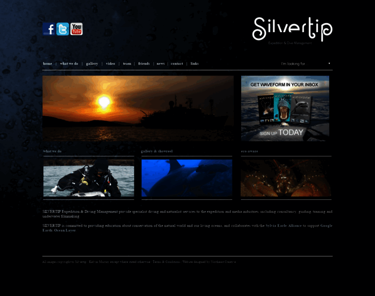 Silvertipworld.com thumbnail