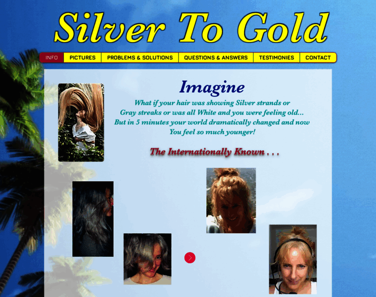 Silvertogold.org thumbnail