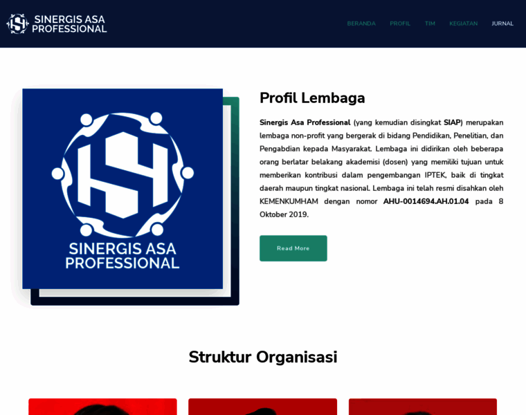 Sinergis.org thumbnail
