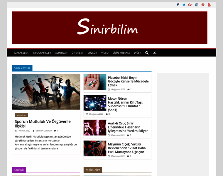 Sinirbilim.org thumbnail
