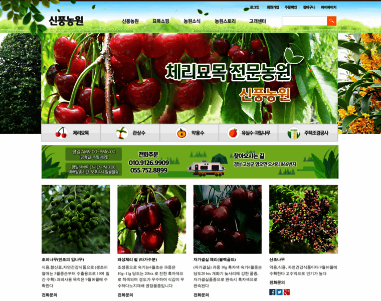 Sinpoong.net thumbnail