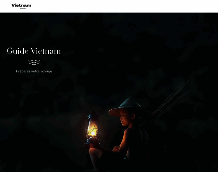 Site-vietnam.fr thumbnail