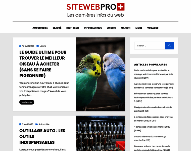 Sitewebpro.ch thumbnail