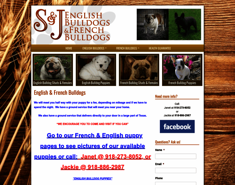 Sj-englishbulldogs.com thumbnail
