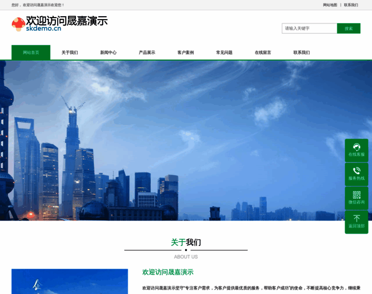 Skdemo.cn thumbnail