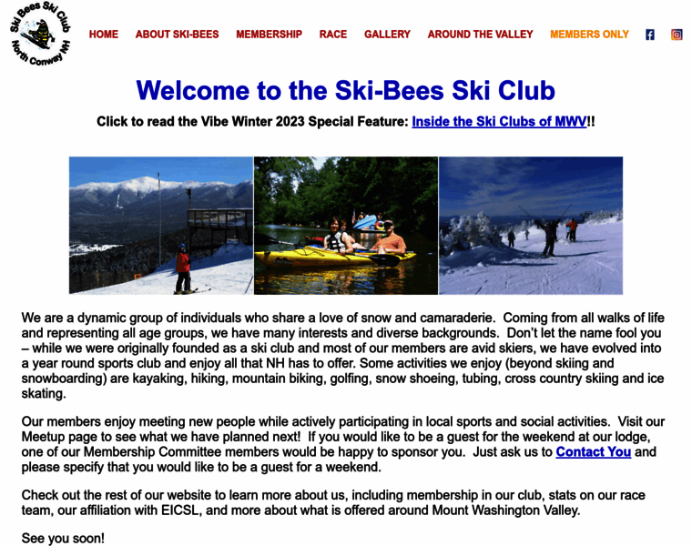 Ski-bees.com thumbnail