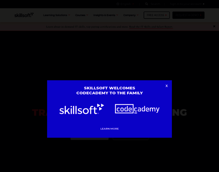 Skillsoft-usa.com thumbnail