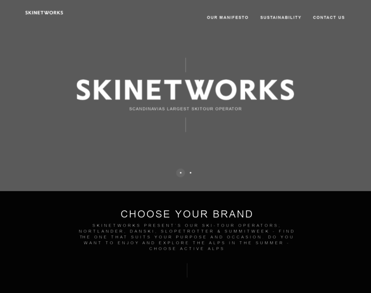 Skinetworks.com thumbnail