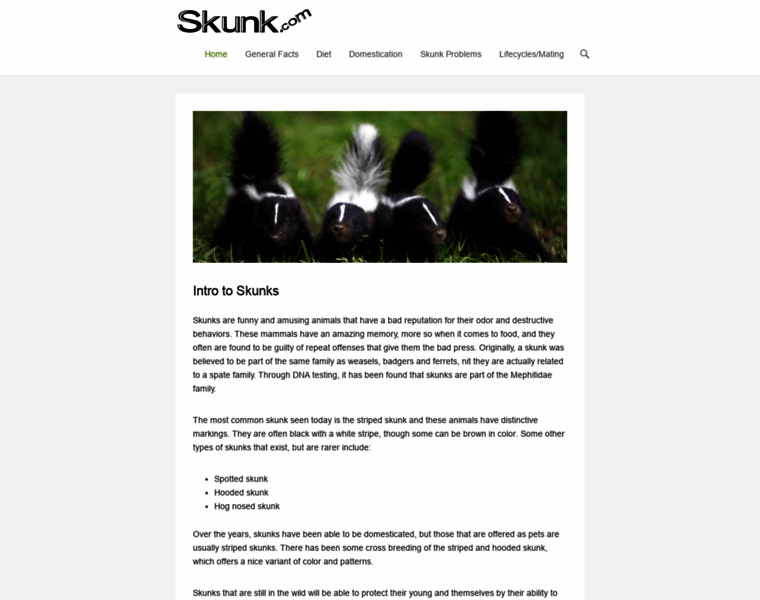 Skunk.com thumbnail
