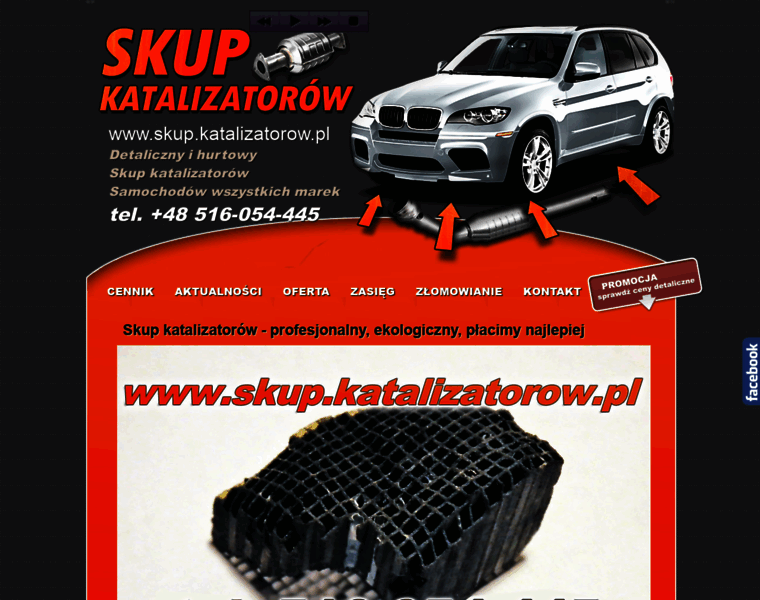 Skup.katalizatorow.pl thumbnail