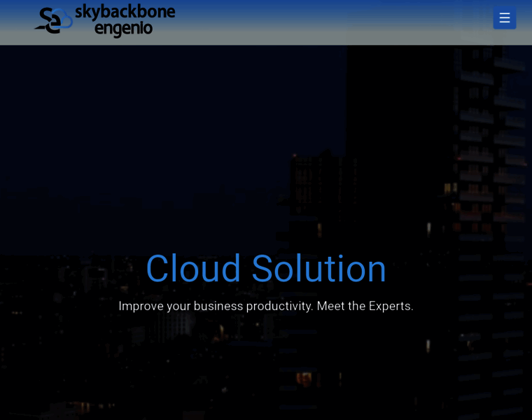 Skybackbone.com thumbnail