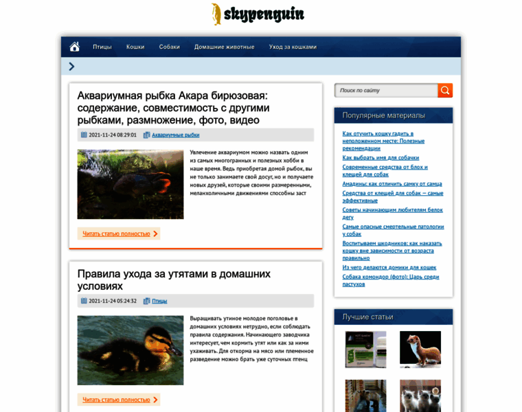 Skypenguin.ru thumbnail