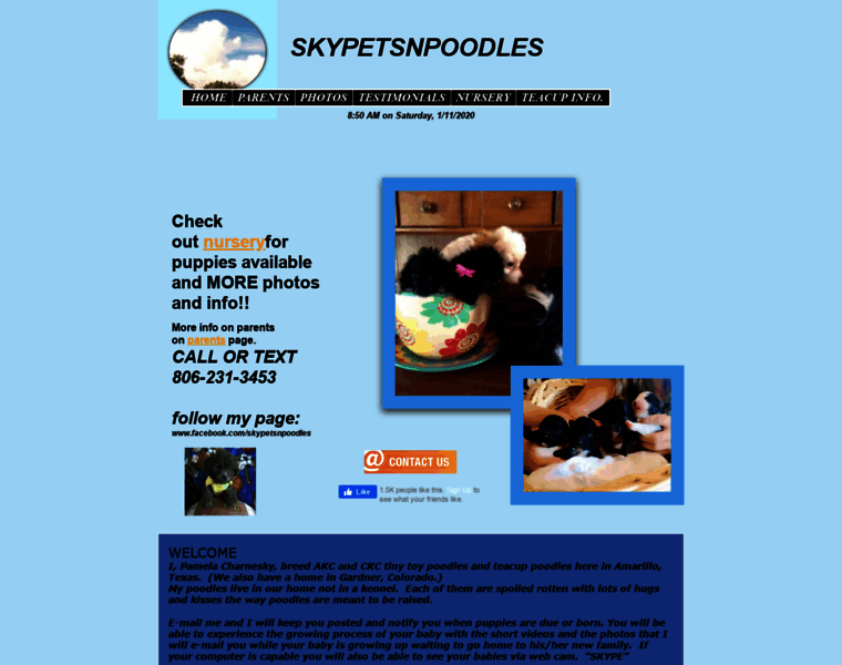 Skypetsnpoodles.homestead.com thumbnail