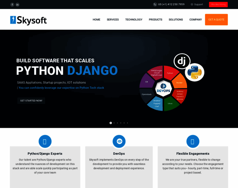Skysoft.net.in thumbnail